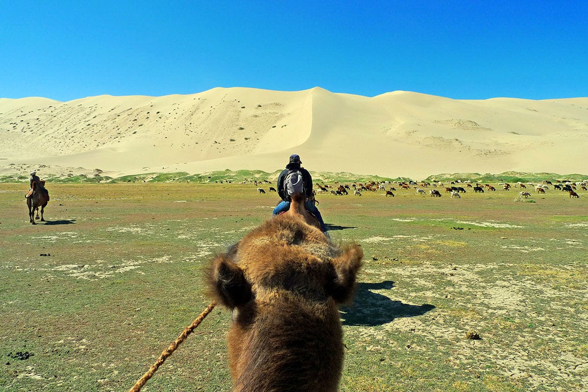 Khongor sand dune