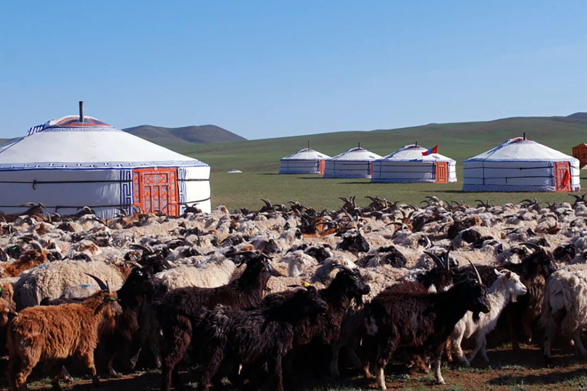 Mongolian Yurt