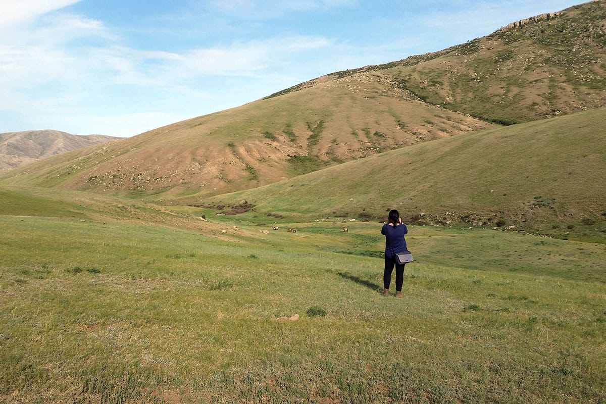 Trekking in Mongolia