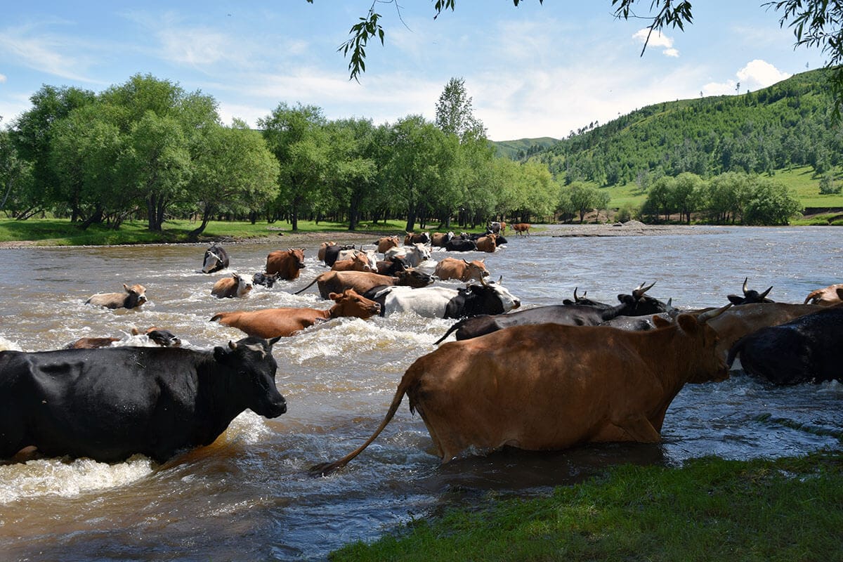 Mongolia