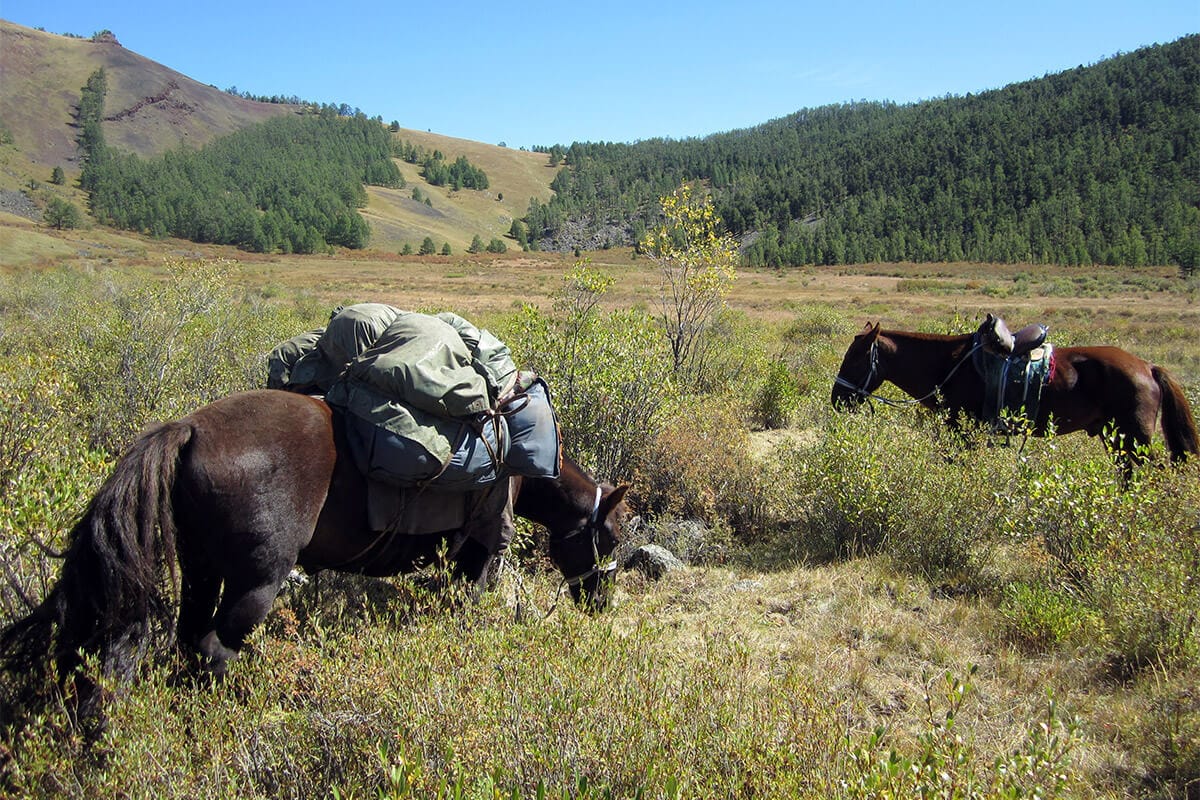 Trekking Mongolia