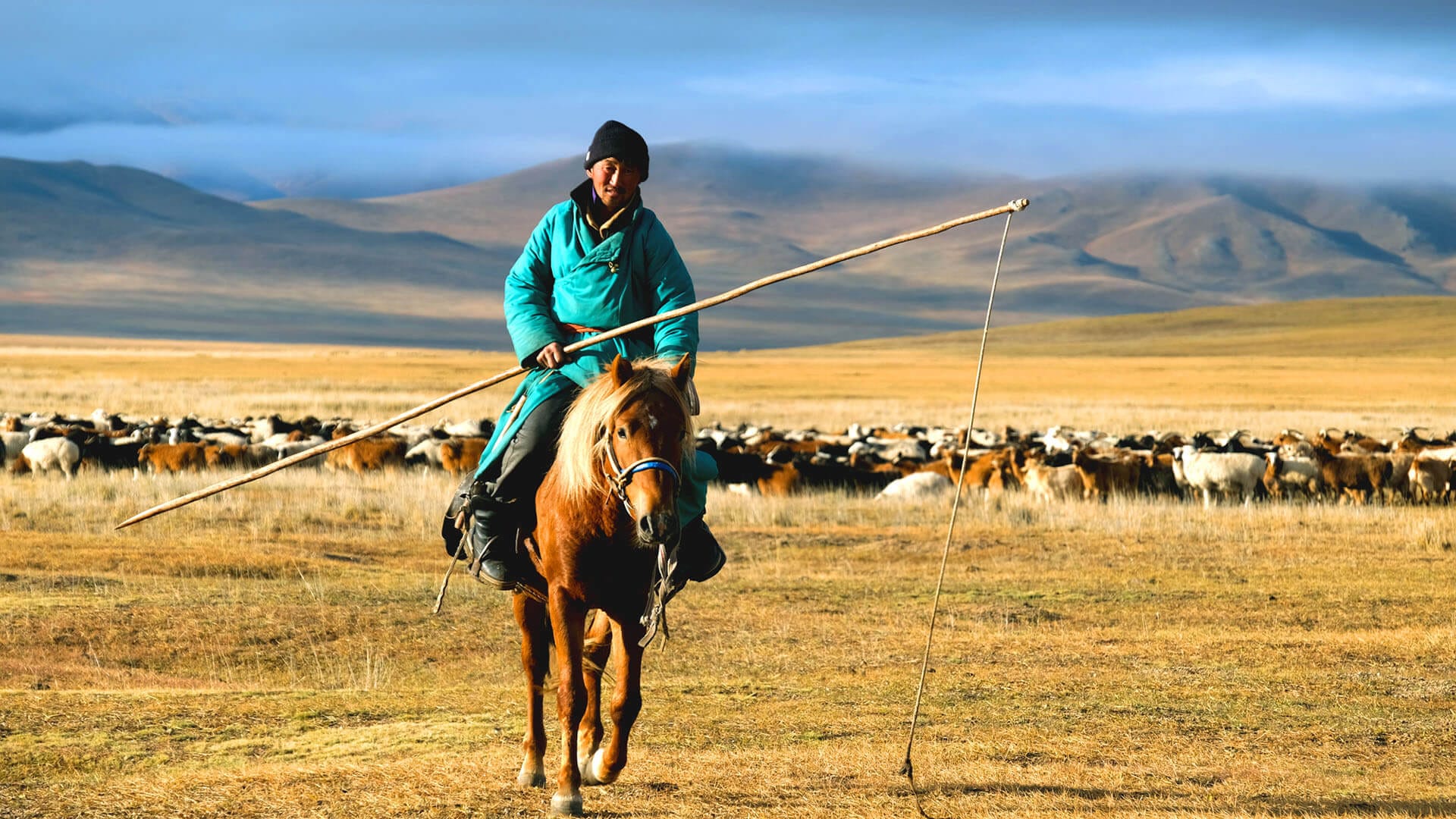 A nomad